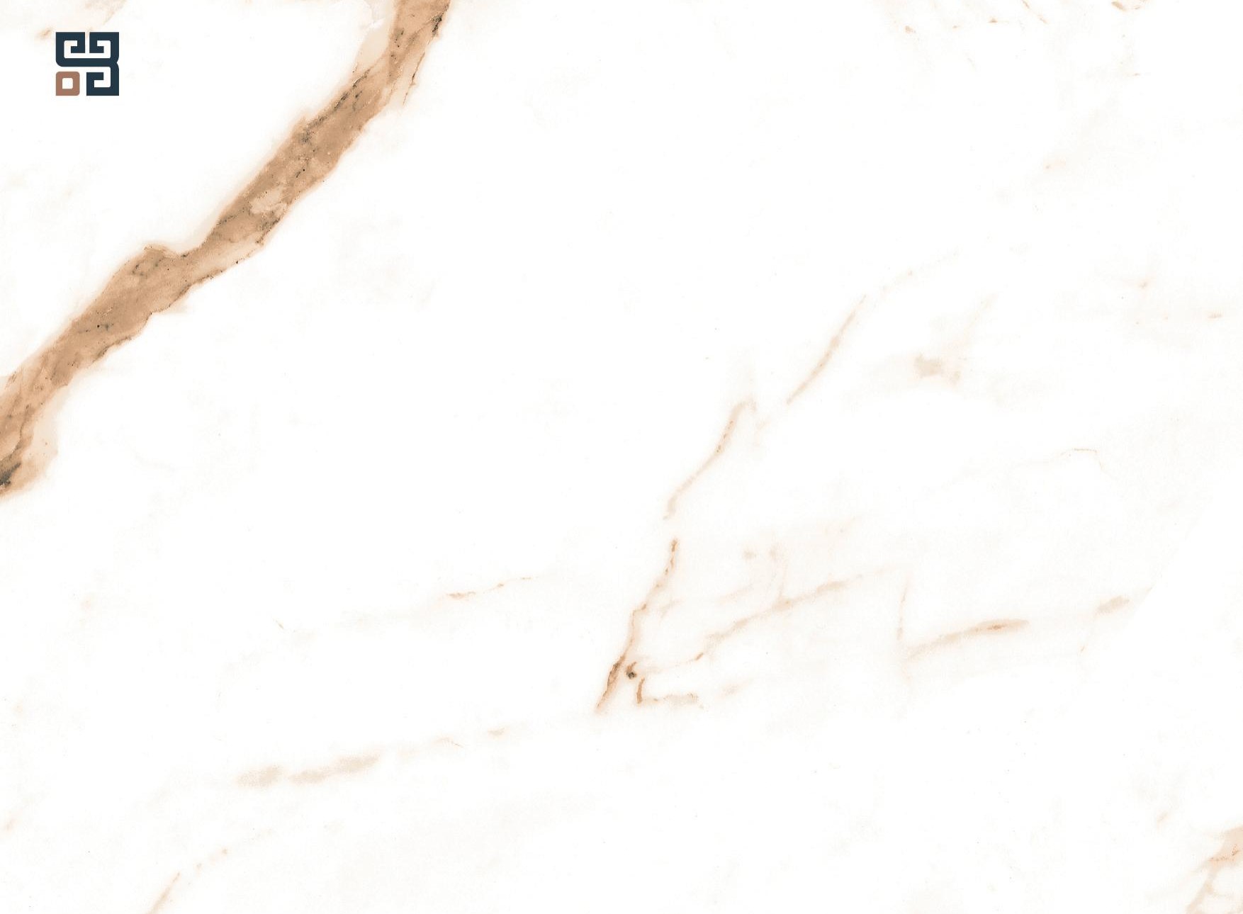 New Calcutta Gold 60x60 cm surface detail