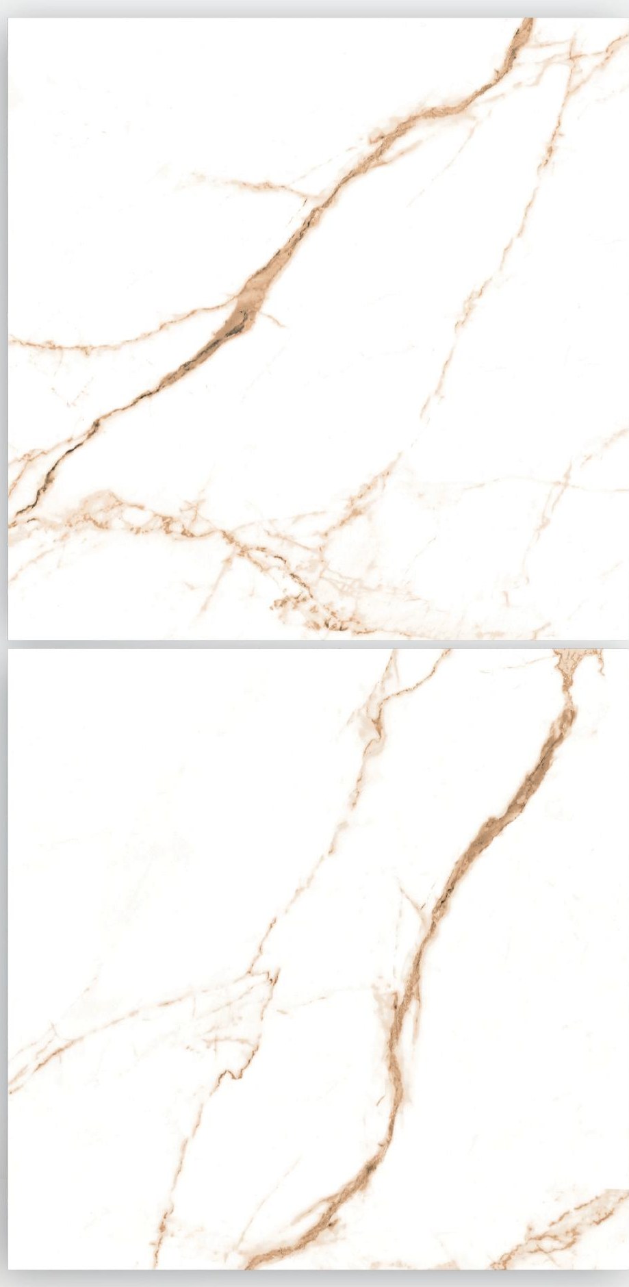 New Calcutta Gold 60x60 cm porcelain floor tile