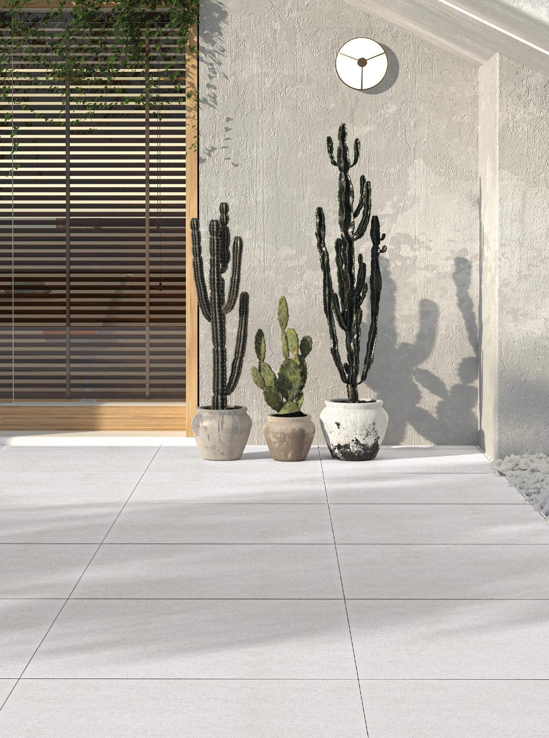 Baltic 60x60 cm 20 mm paving in a courtyard with cacti planters